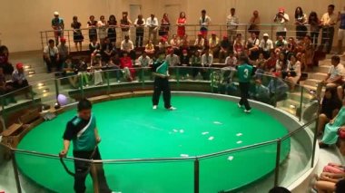 Bangkok, Tayland, 16 Temmuz 2015: Zehirli kobra yılan işleyicisini numaralarını Maetaeng yılan grupta gösterir