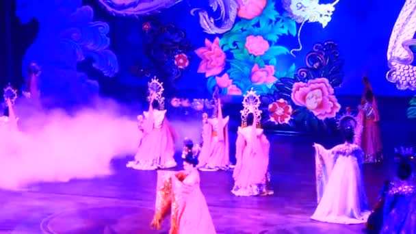 Pattaya, Tailândia, 14 de julho de 2015: Transexuais se apresentam dançando no show Alcazar — Vídeo de Stock
