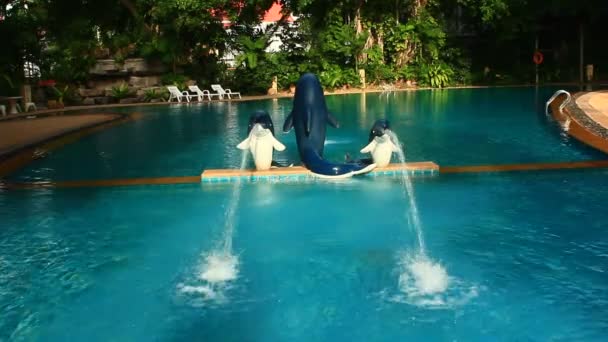Svømmebasseng i en luksusvilla – stockvideo