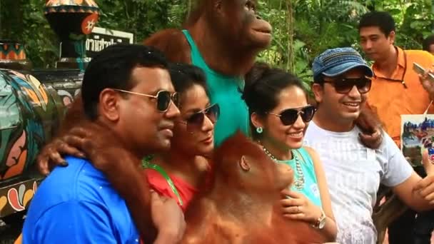 Bangkok, Thailand, juli, 16, 2015: toeristen nemen van foto's met orang-oetans in dierentuinen — Stockvideo