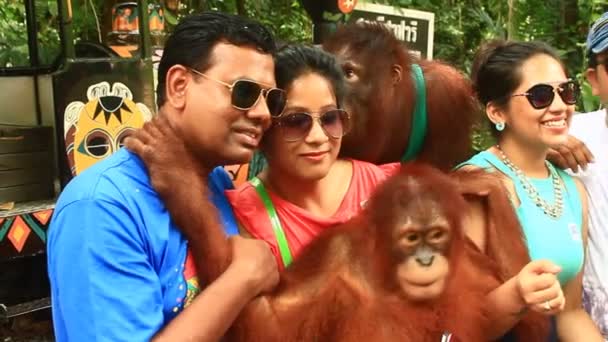 Bangkok, Thailand, July, 16, 2015: tourists taking pictures with orangutans in zoos — Stock Video