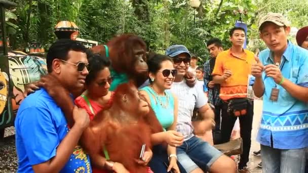 Bangkok, Thailand, juli, 16, 2015: turister ta bilder med Orangutangerna i djurparker — Stockvideo