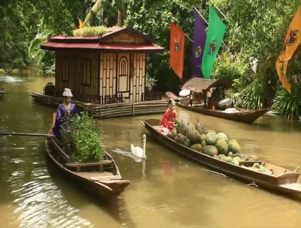 Cisne nadando en el lago — Vídeo de stock