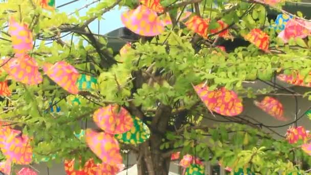 Sombrero de colores en el árbol — Vídeo de stock