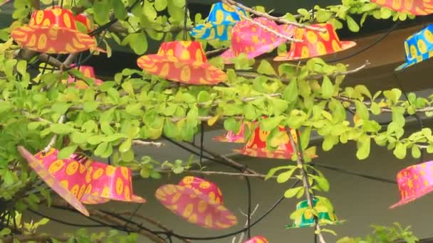 Chapéu colorido na árvore — Vídeo de Stock
