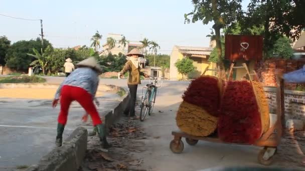 ベトナムの女性は、2013 年 5 月 27 日ベトナム ハイズオンで乾燥後、線香を収集します。. — ストック動画