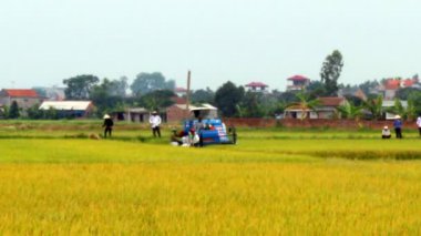  çiftçilerin hasat makine tarafından