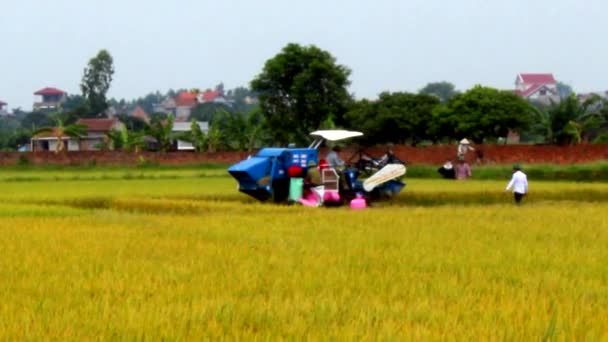 Fermieri pentru a recolta cu mașina — Videoclip de stoc