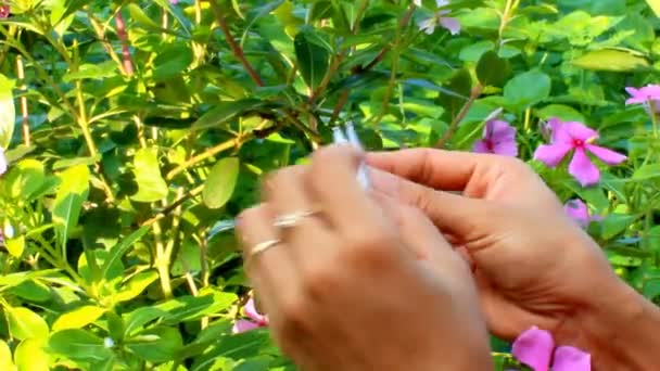 Gruas de papel dobráveis — Vídeo de Stock