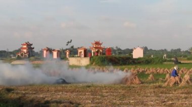 Bir pirinç alan çalışma çiftçiler