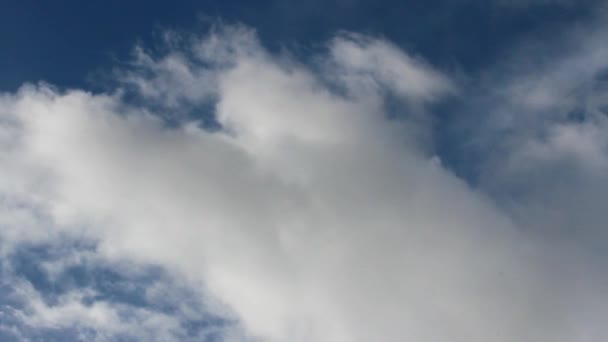 Wolken in de lucht — Stockvideo