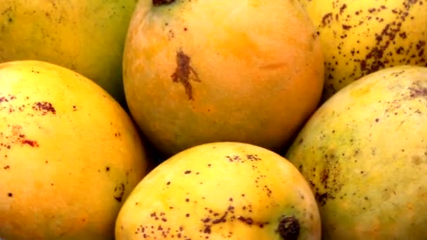 Läckra mogen mango — Stockvideo