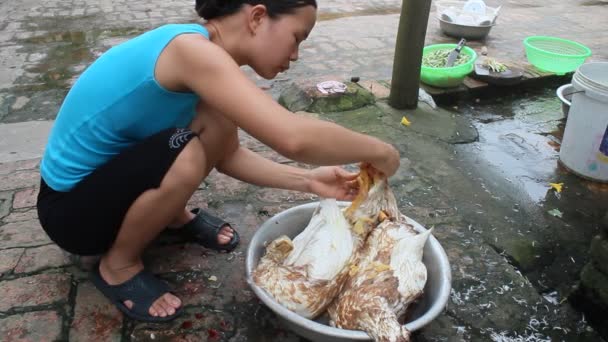 HAI DUONG, VIETNAM, 11 de junio: Vietnam rural woman kills duck for cooking on June 11, 2013 in Hai Duong, Vietnam — Vídeo de stock