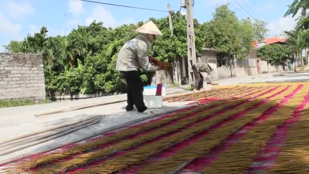 Хай Дуонг, В'єтнаму, 7 липня: В'єтнам жінка сушіння ароматичні палички на сонці на 7 липня 2013 року в районі Hai Дуонг, В'єтнаму — стокове відео