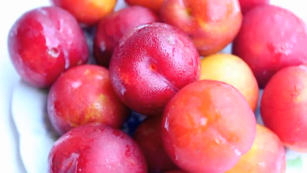 Delicious ripe plums — Stock Video