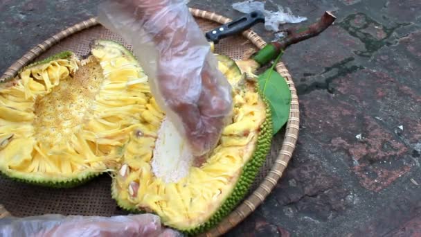 Delicious jack fruit — Stock Video