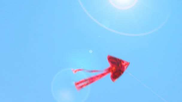 Cerf-volant rouge volant dans le ciel bleu — Video