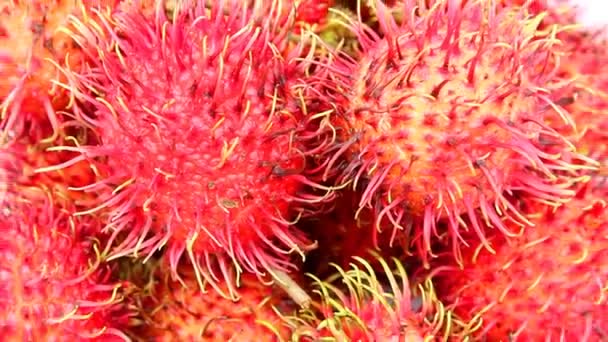 Rambutan-Frucht isoliert auf weißem Hintergrund — Stockvideo