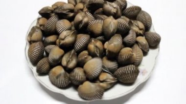 Beyaz arka plan üzerinde izole haşlanmış deniz kabuğu