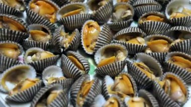 Beyaz arka plan üzerinde izole haşlanmış deniz kabuğu