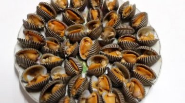 Beyaz arka plan üzerinde izole haşlanmış deniz kabuğu