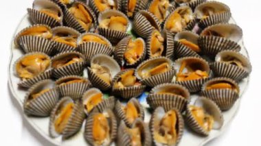 Beyaz arka plan üzerinde izole haşlanmış deniz kabuğu