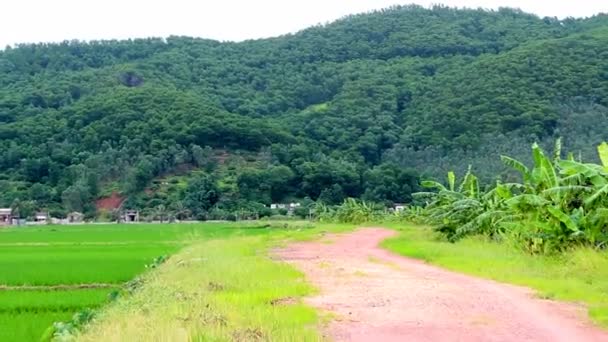 A paisagem rural — Vídeo de Stock