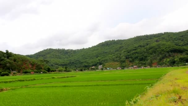 乡村景观 — 图库视频影像