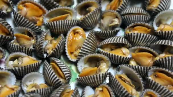 Steamed sea shell isolated on white background — Stock Video