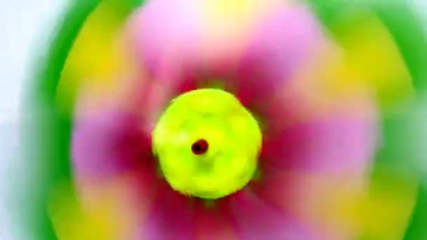 Färgglada papper pinwheel virvlande i vinden — Stockvideo