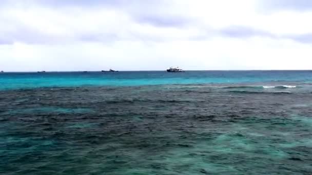 Olas en la playa — Vídeo de stock