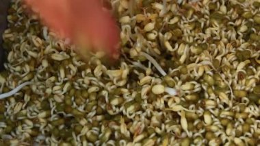 El damla lahanası Kırmızı sepet içine