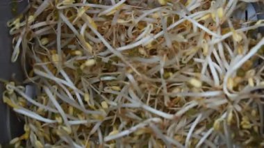 El damla lahanası Kırmızı sepet içine