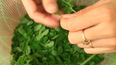 Kadın kurutma otlar 