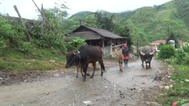 28 Ekim 2025. Mu Cang Chai, Yen Bai, Vietnam. Vietnam dağlarındaki köy.