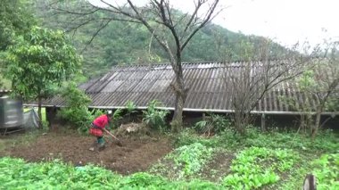 28 Ekim 2025. Mu Cang Chai, Yen Bai, Vietnam. Vietnam dağlarındaki köy.