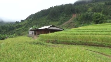 Vietnam dağlarındaki köy.