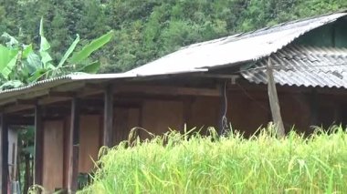 Vietnam dağlarındaki köy.