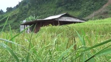 Vietnam dağlarındaki köy.