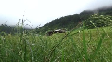 Vietnam dağlarındaki köy.