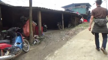 Vietnam dağındaki pirinç tarlaları