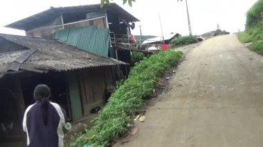 Vietnam dağındaki pirinç tarlaları