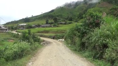 Vietnam dağındaki pirinç tarlaları