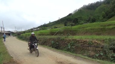 Vietnam dağındaki pirinç tarlaları