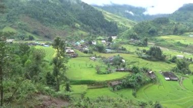 Vietnam dağındaki pirinç tarlaları