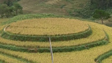 Vietnam dağındaki pirinç tarlaları