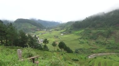 Vietnam dağındaki pirinç tarlaları