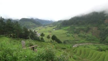 Vietnam dağındaki pirinç tarlaları