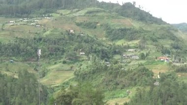 Vietnam dağındaki pirinç tarlaları