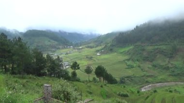 Vietnam dağındaki pirinç tarlaları